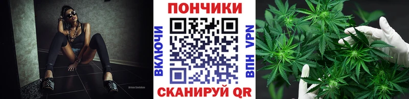 купить закладку  Касимов  Шишки марихуана семена 